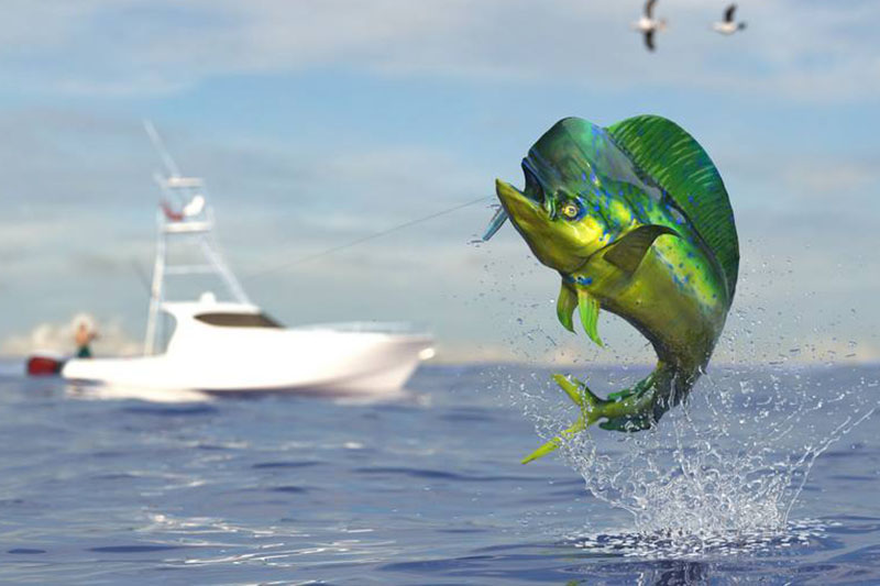 Fishing-Charters-Boynton-Beach-FL