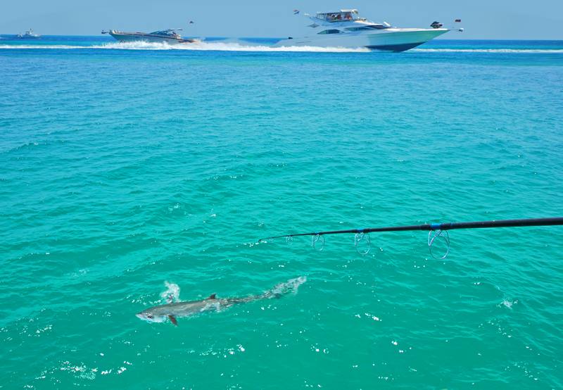 Fishing-Charters-Kaneohe-HI